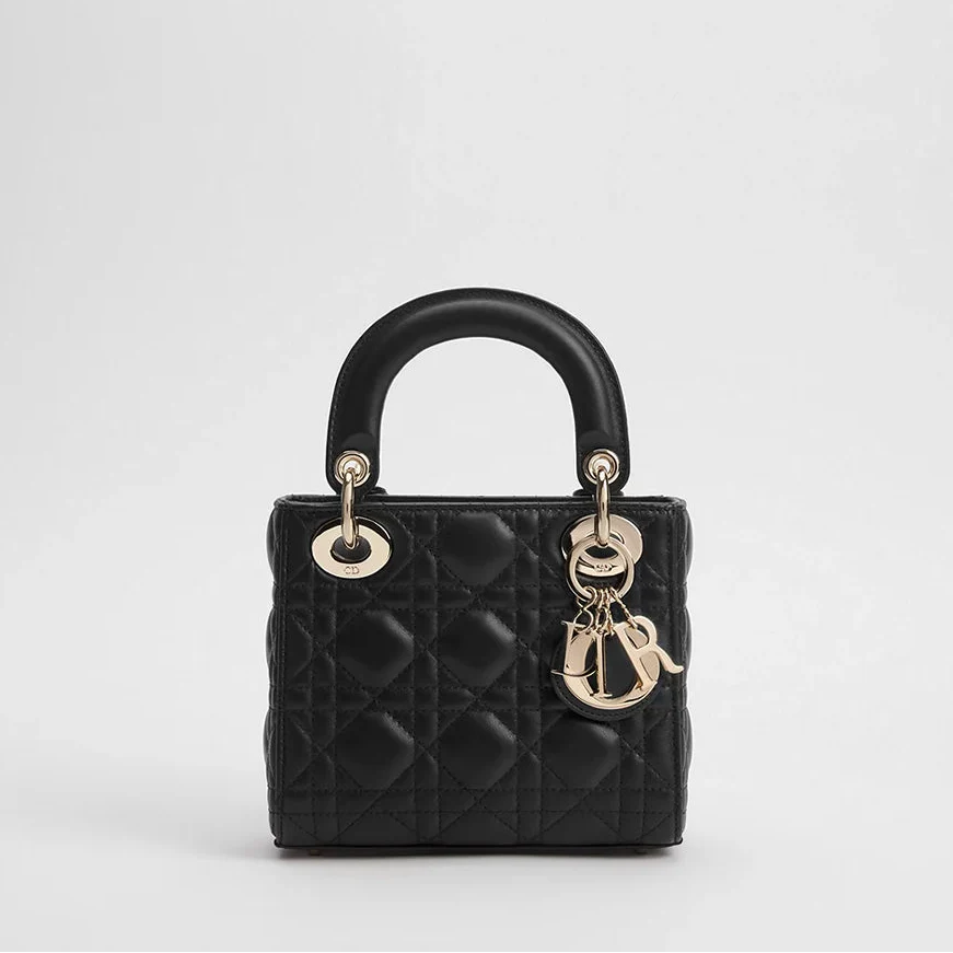 Bolso Mini Lady Dior 01