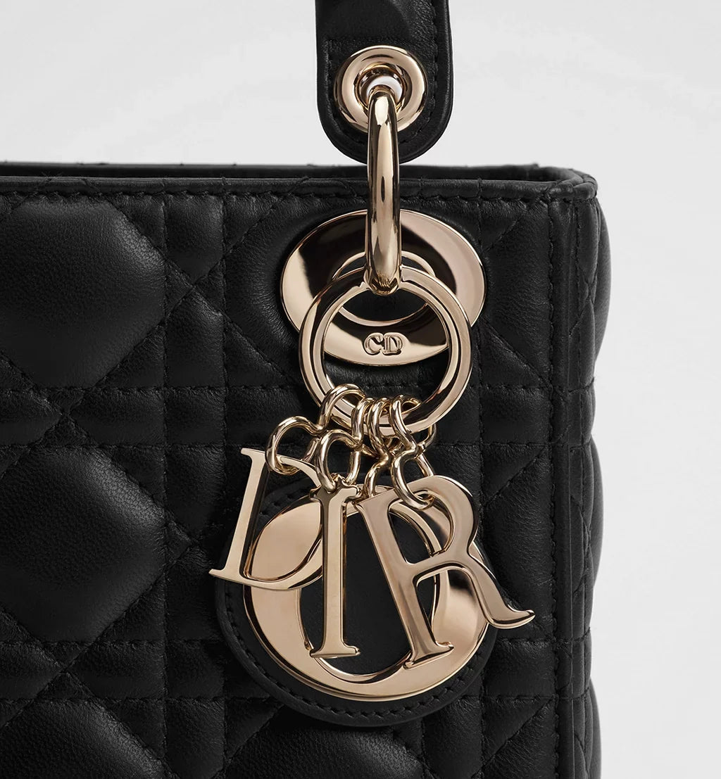 Bolso Mini Lady Dior 01