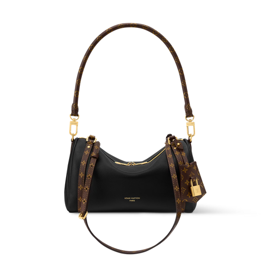 Bolso Louis Vuitton Express PM 21