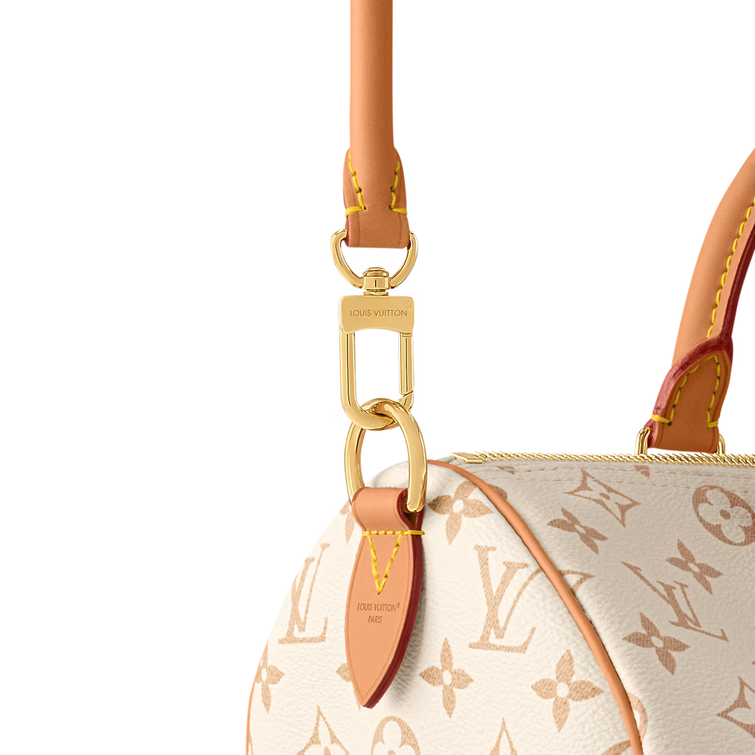 Bolso Louis Vuitton – Speedy Soft 30 Lucky 23
